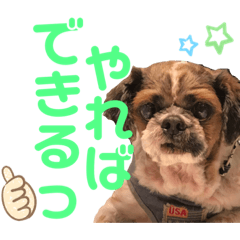 [LINEスタンプ] 貫禄けいくん