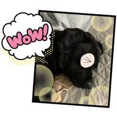 [LINEスタンプ] frambare
