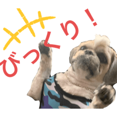 [LINEスタンプ] モヒカン蓮くん6