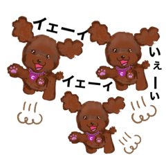 [LINEスタンプ] プードルショコ嬢