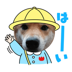 [LINEスタンプ] けんケンKEN坊