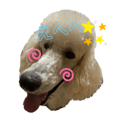 [LINEスタンプ] ワンダと愉快な仲間たち①