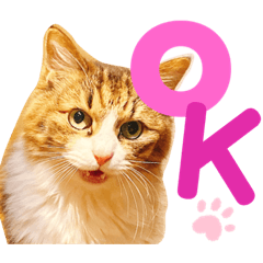 [LINEスタンプ] すーちゃんとペス2
