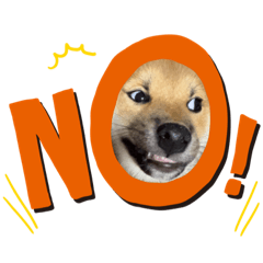 [LINEスタンプ] 柴犬 虎太郎②