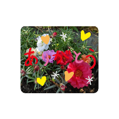 [LINEスタンプ] お花で挨拶❁