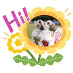 [LINEスタンプ] つくしとすみれ2 シーズー