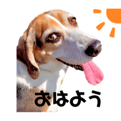 [LINEスタンプ] うーぽっちゃん
