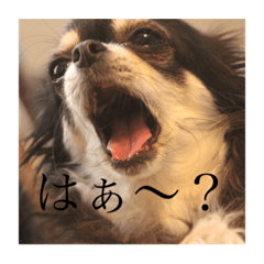 [LINEスタンプ] at.ms