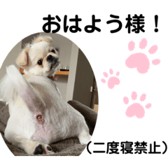 [LINEスタンプ] むぎ太郎スタンプ