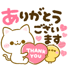 [LINEスタンプ] カラフル文字♡ねこねこにゃんこ