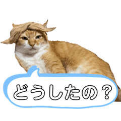 [LINEスタンプ] アイドル茶太郎①