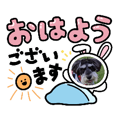 [LINEスタンプ] シュナウザーのシュヮちん