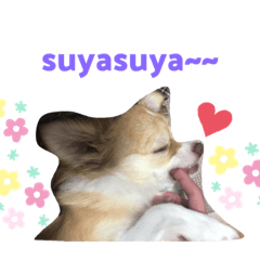 [LINEスタンプ] ココ助の気持ち♡