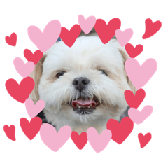 [LINEスタンプ] ご近所むぎちゃんの日常