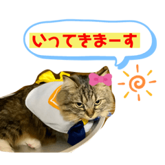 [LINEスタンプ] 短足マンチカンのクリスタちゃん♀5