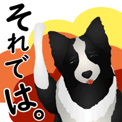 [LINEスタンプ] ボーダーコリー犬のジョン