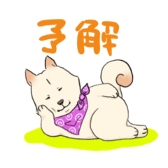 [LINEスタンプ] 白柴こてつの日常会話