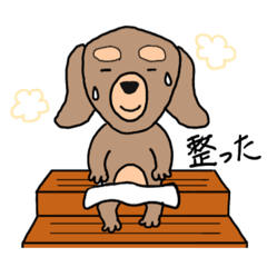 [LINEスタンプ] 無駄にQOLが高い犬