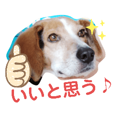[LINEスタンプ] うしおのきもちスタンプ①
