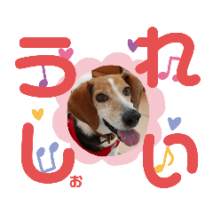 [LINEスタンプ] うしおのきもちスタンプ②