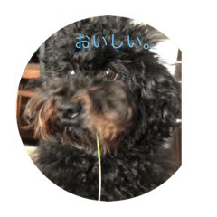 [LINEスタンプ] ゆずYA