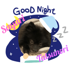 [LINEスタンプ] テンシンたつのり⑦