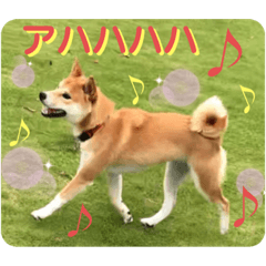 [LINEスタンプ] 柴犬ふくの日常スタンプ第5弾♪♪