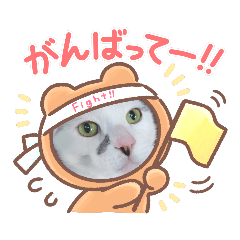 [LINEスタンプ] やんちゃな息子にゃ