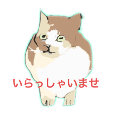 [LINEスタンプ] アンちゃんの言葉