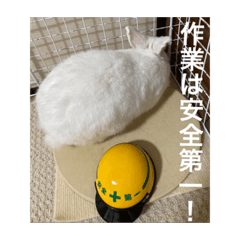 [LINEスタンプ] ましろおもち産直毎日スタンプ2