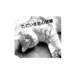 [LINEスタンプ] マンチカンのふむ