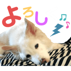 [LINEスタンプ] ワンダフルぶぶ助