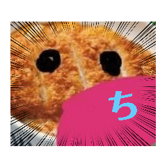 [LINEスタンプ] 白カツくんとひらがなVol.2