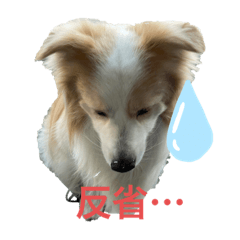 [LINEスタンプ] レッボー兄弟①
