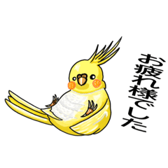 [LINEスタンプ] オカメなあいさつ