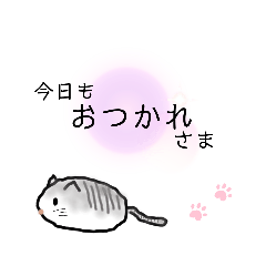 [LINEスタンプ] でか文字ときどきニャンコ