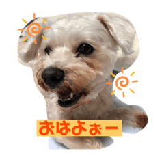 [LINEスタンプ] ☆ななとティミー☆