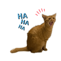 [LINEスタンプ] こてふみの日常