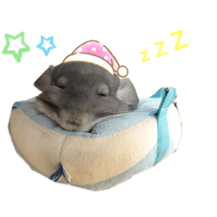 [LINEスタンプ] むぅたんといっしょ♡ʾʾ