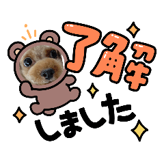 [LINEスタンプ] プードルひなちゃん3