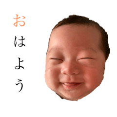 [LINEスタンプ] りつとさんスタンプpart2