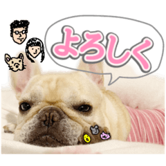 [LINEスタンプ] とふぁちゃんスタンプ