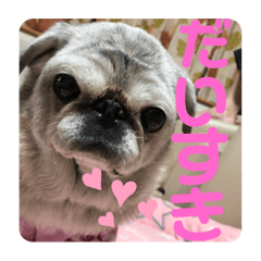 [LINEスタンプ] あいといっしょ