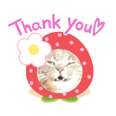 [LINEスタンプ] うちのにゃんこです.