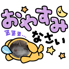 [LINEスタンプ] ハムハムスターズ