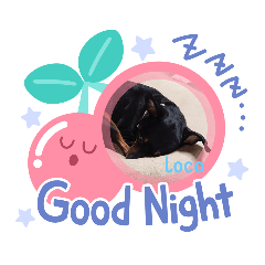 [LINEスタンプ] ロコさんスタンプ