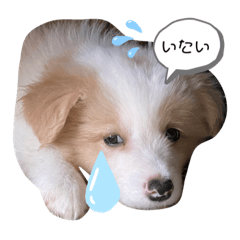 [LINEスタンプ] レッボー兄弟＋α