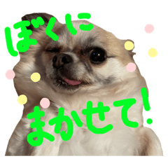 [LINEスタンプ] かおわん