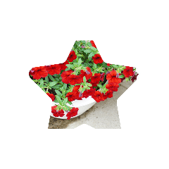 [LINEスタンプ] とある写真