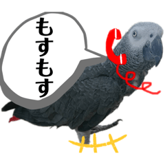 [LINEスタンプ] ヨウムのるいちゃんと仲間たち